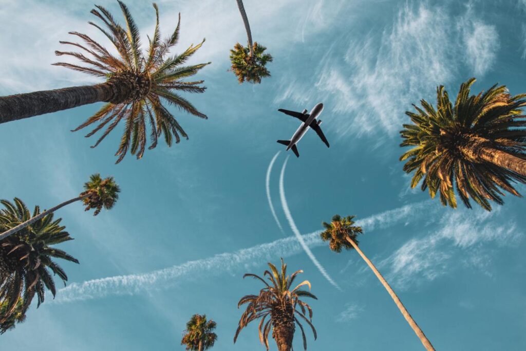 Vue aérienne d'une plage de Martinique associée au transport aérien, illustrant l'impact du prix des billets d'avion sur le tourisme dans les Antilles françaises.
